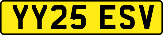YY25ESV
