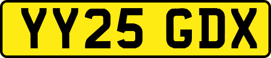 YY25GDX