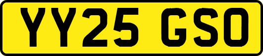 YY25GSO