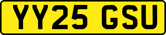 YY25GSU