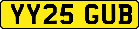 YY25GUB