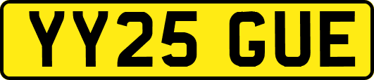 YY25GUE