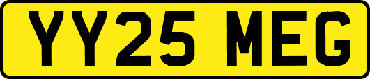 YY25MEG