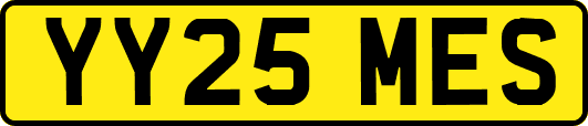 YY25MES