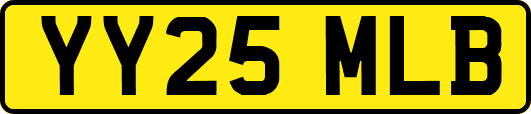 YY25MLB