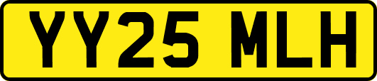 YY25MLH