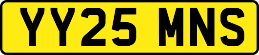 YY25MNS