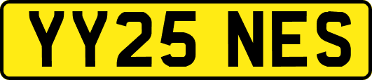 YY25NES