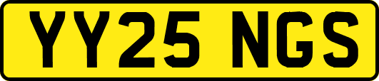 YY25NGS