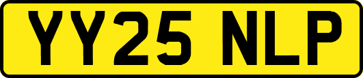 YY25NLP
