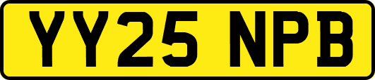 YY25NPB