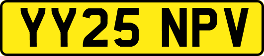 YY25NPV