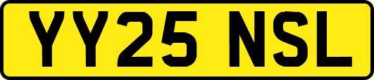 YY25NSL