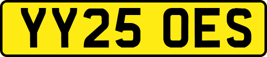 YY25OES