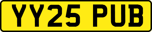 YY25PUB