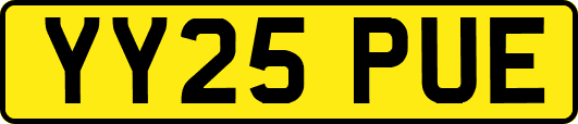 YY25PUE