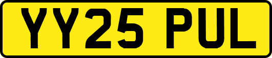 YY25PUL