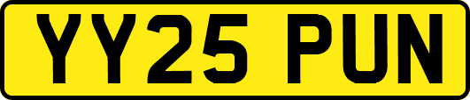 YY25PUN
