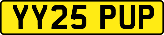 YY25PUP
