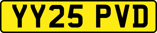YY25PVD