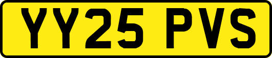 YY25PVS