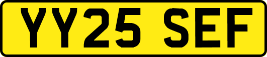 YY25SEF