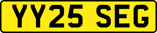 YY25SEG