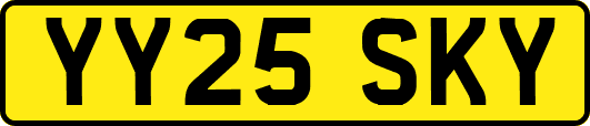 YY25SKY
