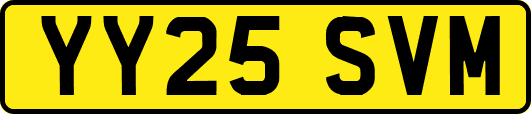 YY25SVM