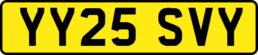 YY25SVY