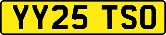 YY25TSO