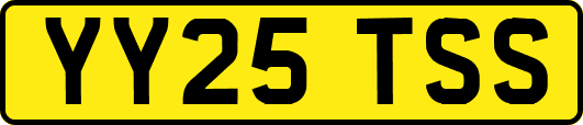 YY25TSS