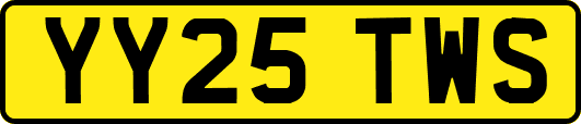 YY25TWS