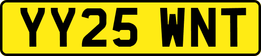 YY25WNT