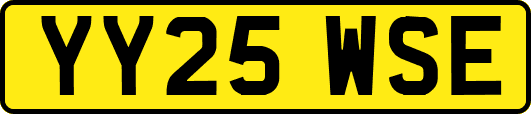 YY25WSE