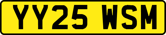 YY25WSM