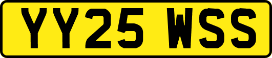 YY25WSS