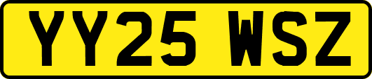 YY25WSZ