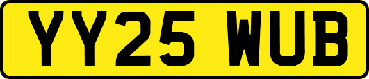 YY25WUB