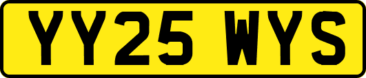 YY25WYS