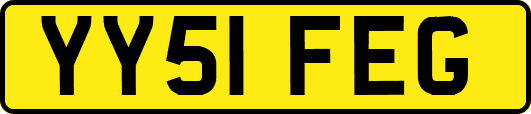 YY51FEG