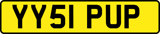 YY51PUP