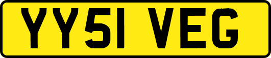 YY51VEG