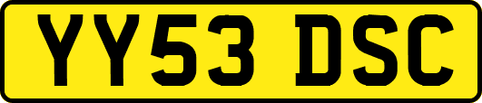 YY53DSC