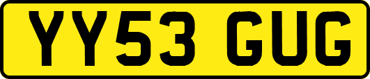 YY53GUG