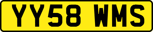 YY58WMS