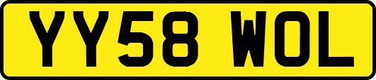 YY58WOL