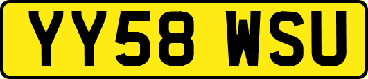 YY58WSU