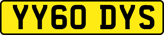 YY60DYS