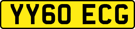 YY60ECG